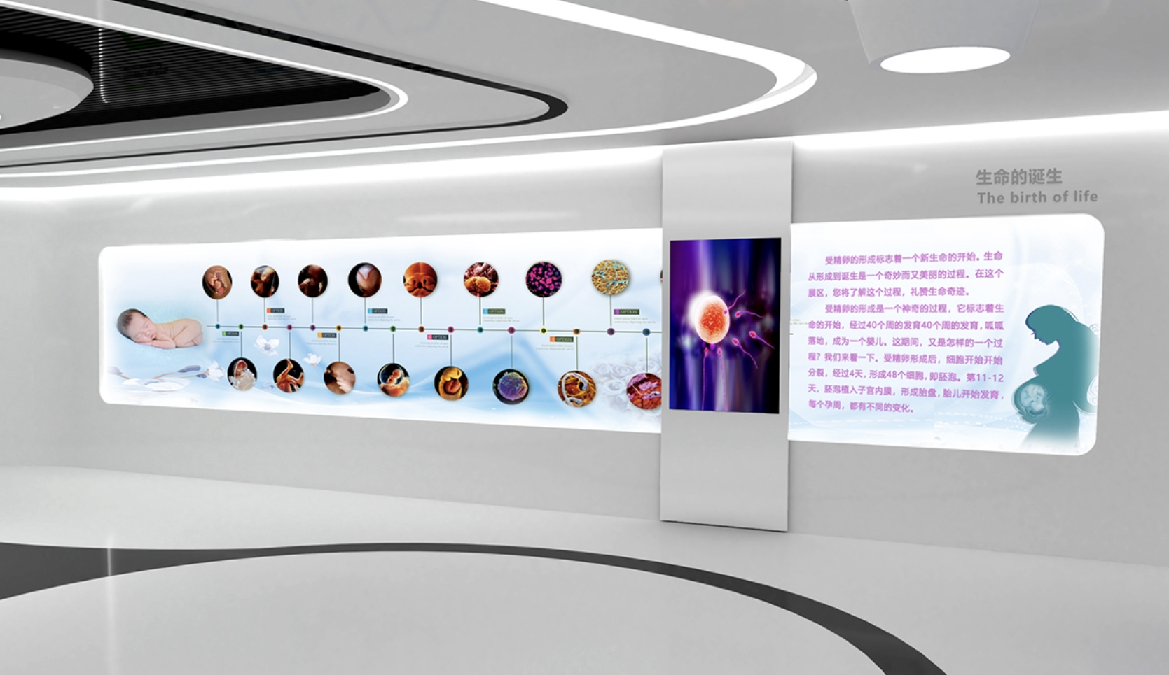 干细胞展厅设计行业优选:科技与专业的完美融合|思威图数字 | 2026干细胞展厅科普馆设计公司